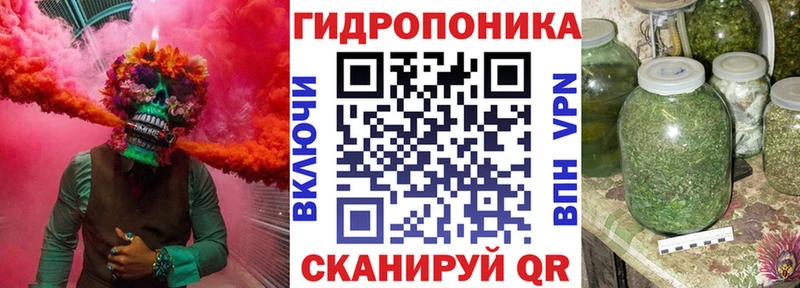 Купить наркотики сайты Кириши ТГК  Псилоцибиновые грибы  Кокаин  МЕФ  Alpha-PVP 