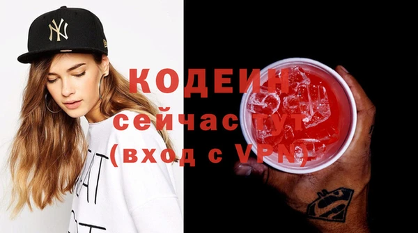 молекула духа Богородицк