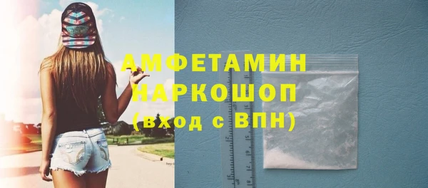 молекула духа Богородицк