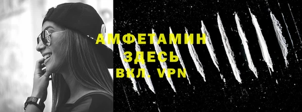 молекула духа Богородицк