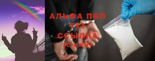 молекула духа Богородицк