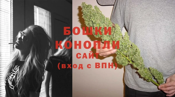 молекула духа Богородицк